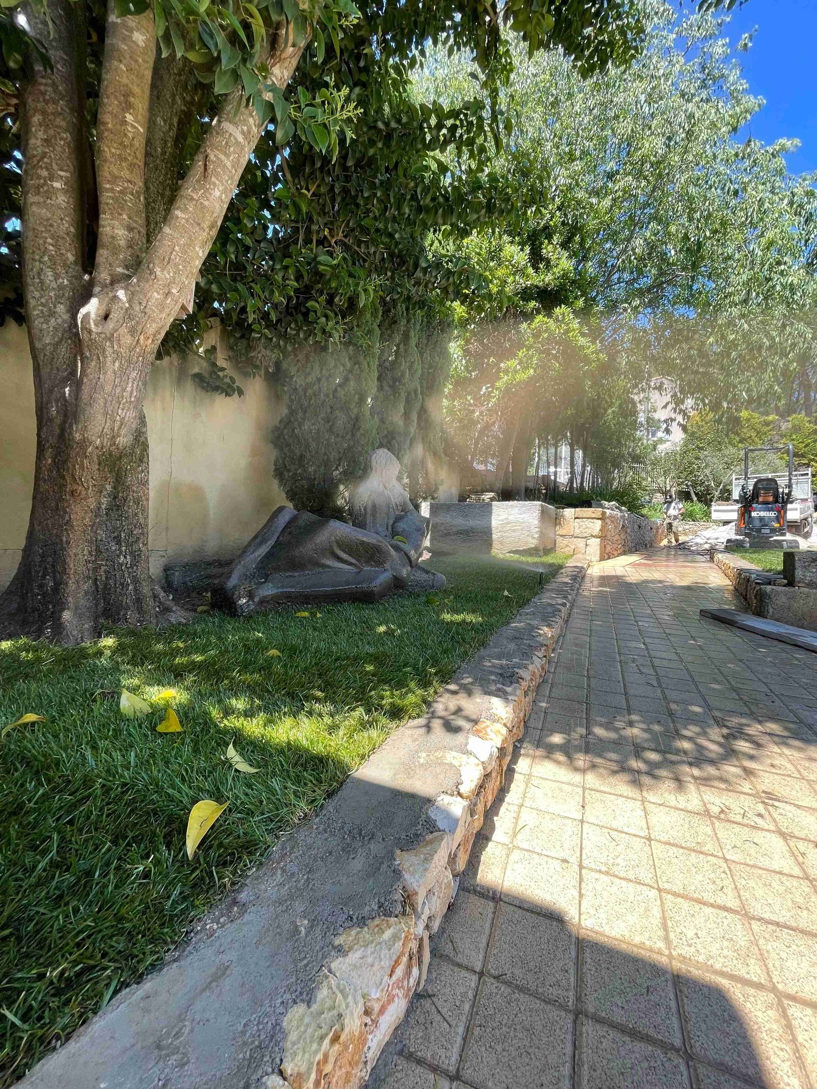 Allée pavée bordée de pelouse sous un grand arbre