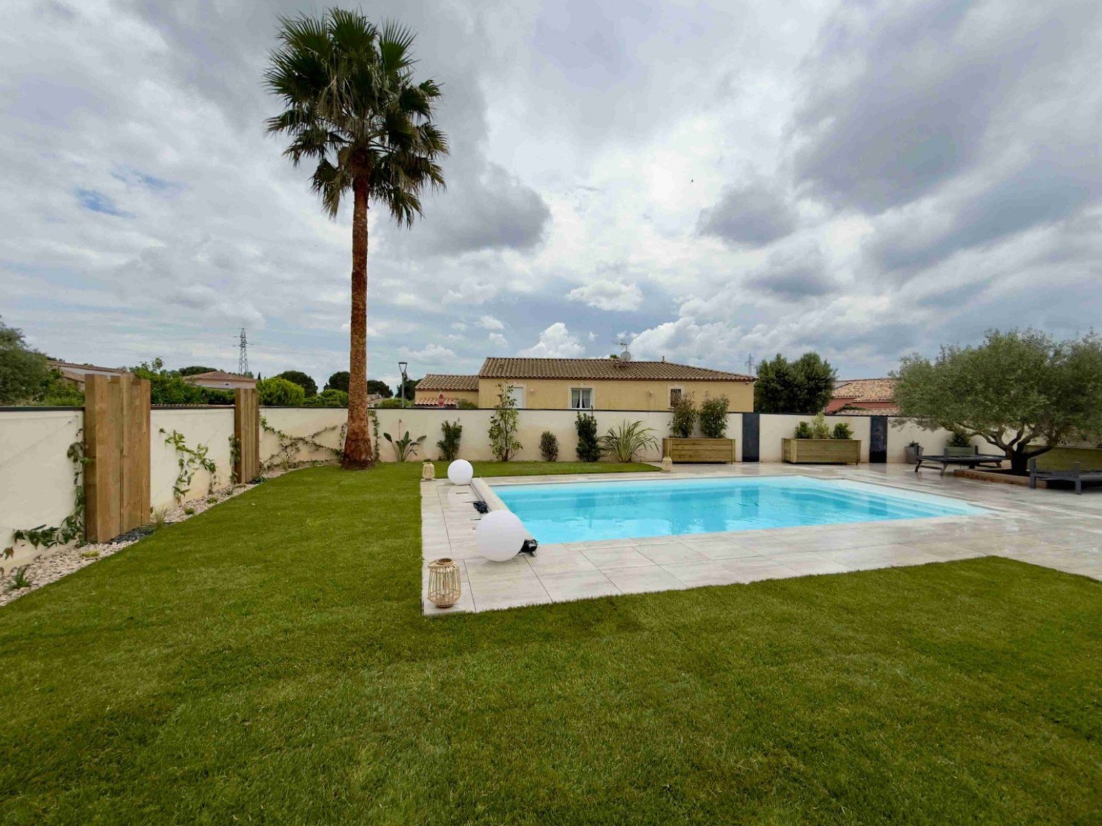 Piscine et jardin paysager avec palmier et gazon