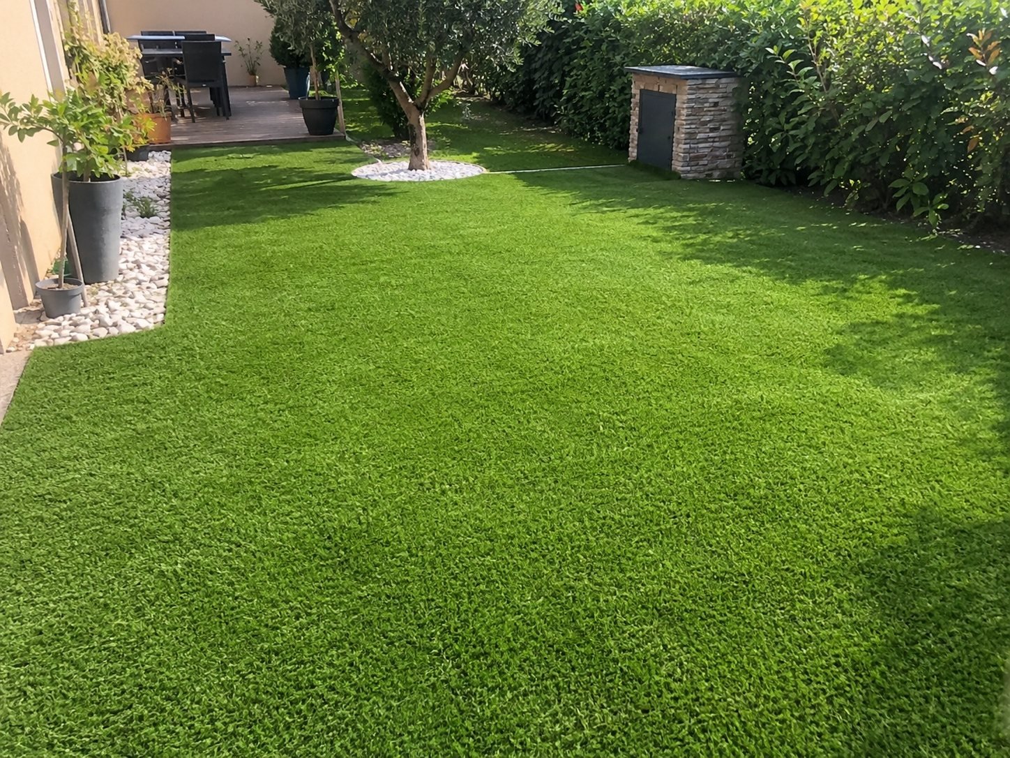 Jardin en gazon synthétique autour d'un olivier sur galets blancs, avec terrasse en bois et haie de lauriers
