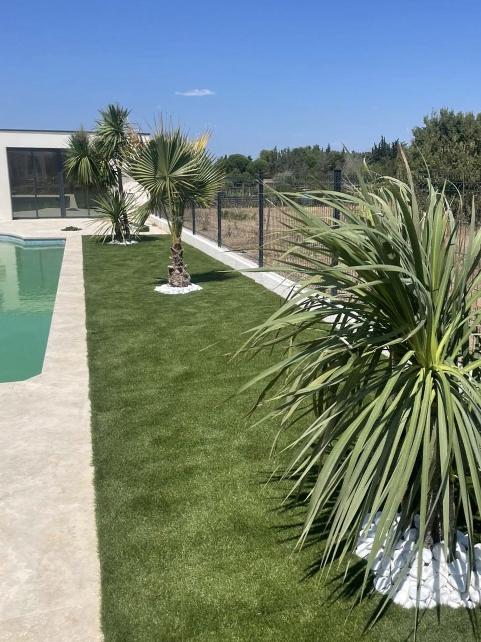 Bande de gazon synthétique entre la plage de piscine et la clôture, avec palmiers et yucca