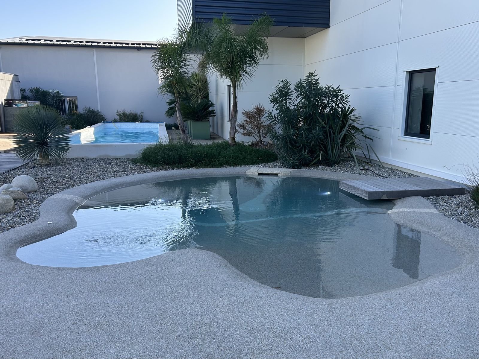 Piscine lagon aux formes douces avec ponton en bois, devant une maison contemporaine